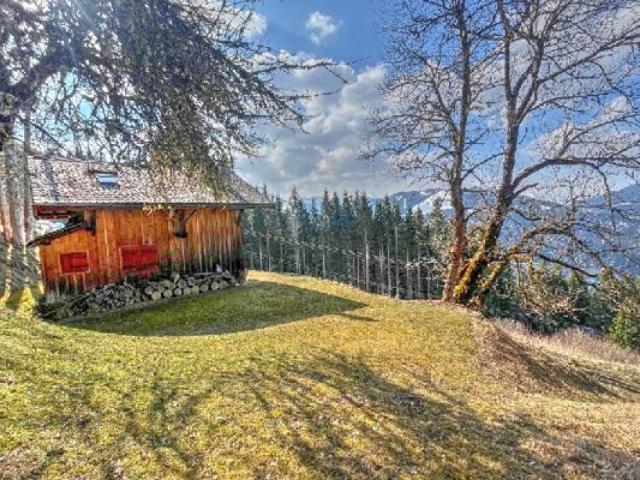 Maison vente à Thonon-les-Bains, Montriond