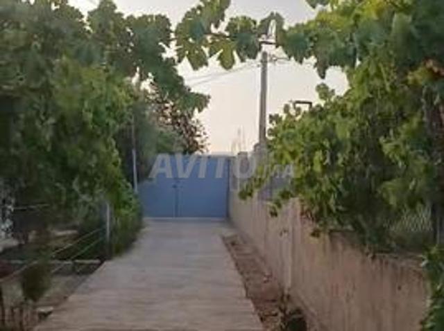 Maison vente à Fès