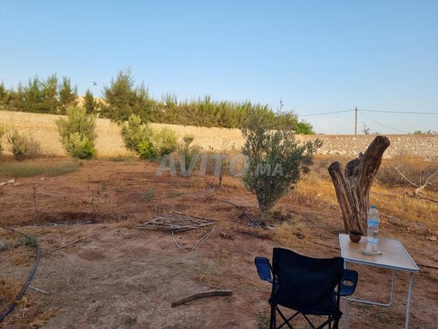 Propriété vente à Essaouira, L'Oriental
