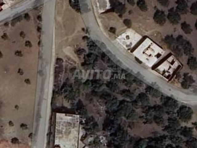 Maison vente à Taounate