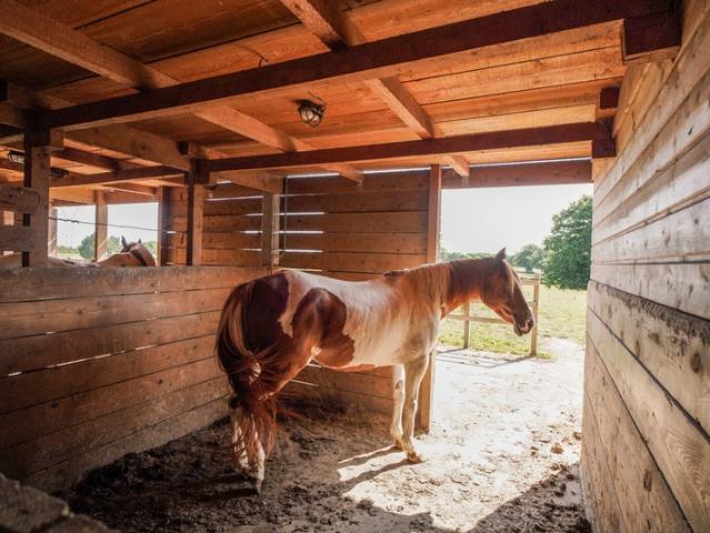 Ferme vente à Bourg-en-Bresse, Châtillon-sur-chalaronne