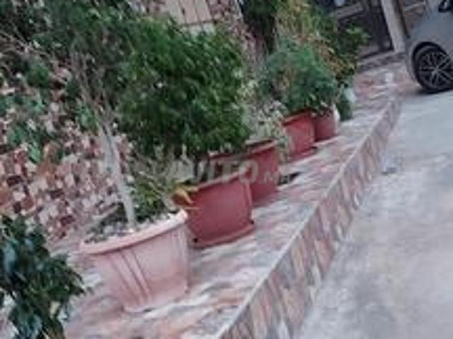 Maison vente à Zaïo