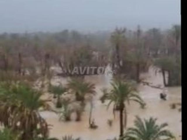 Maison vente à Ouarzazate