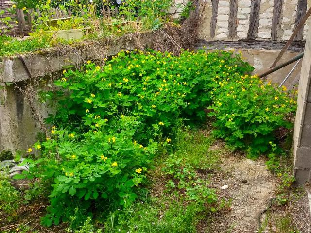 Maison vente à Sens, Joigny
