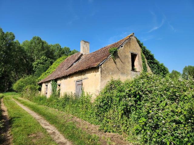 Maison vente à La Flèche, La Fontaine-saint-martin