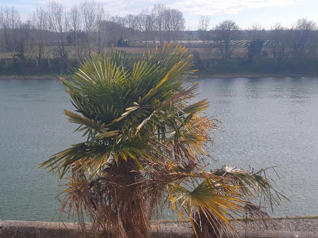 Maison vente à Castelsarrasin, Lamagistère