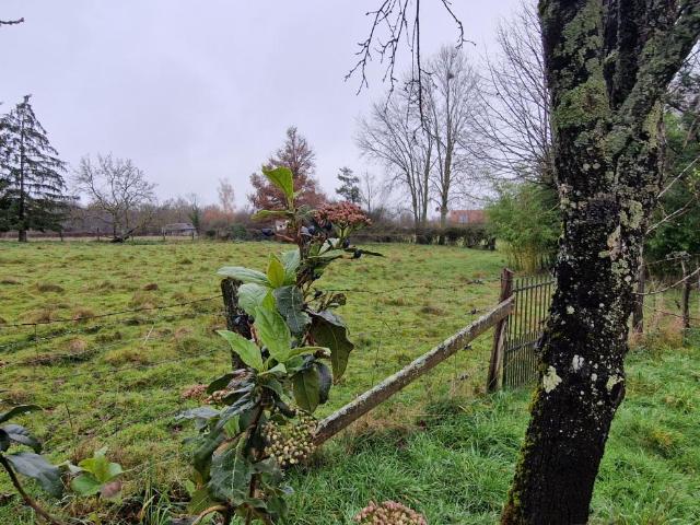 Maison vente à Charolles, Lugny-lès-charolles