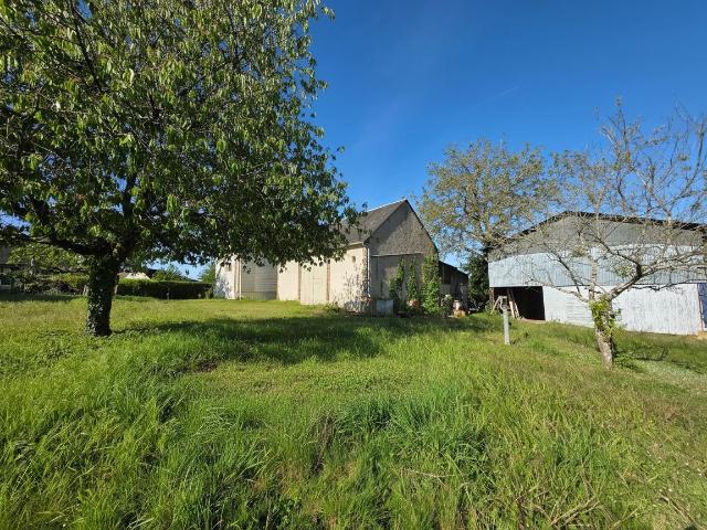 Maison vente à Tours, Monnaie