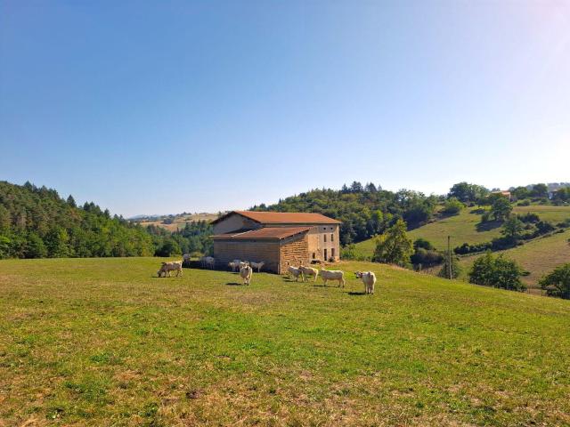 Maison vente à Saint-Dier-d'Auvergne, Puy-de-Dôme
