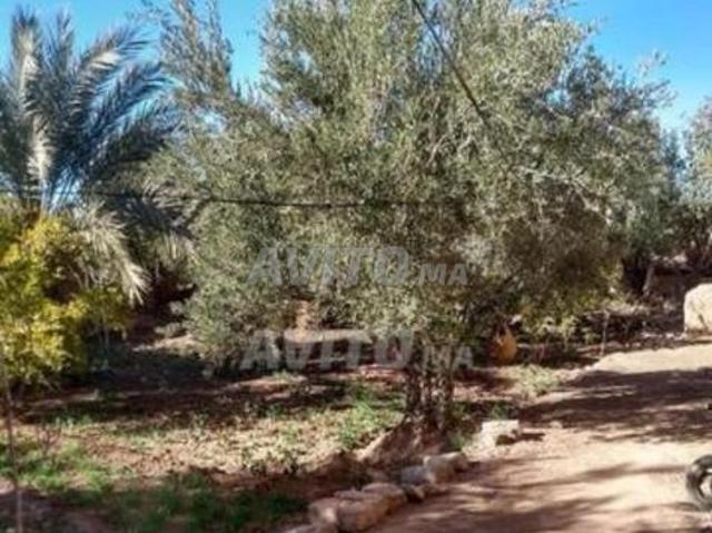 Maison vente à Ouarzazate