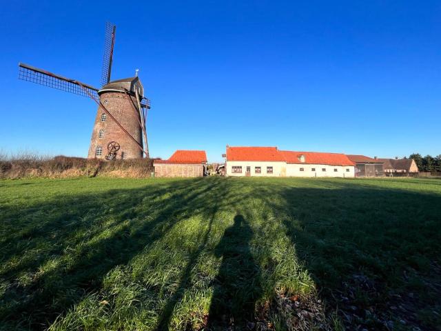 Maison vente à Dunkerque, Steenvoorde