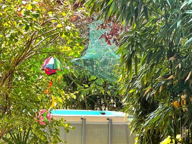 Einfamilienhaus kaufen in Lamone-Cadempino, Tessin