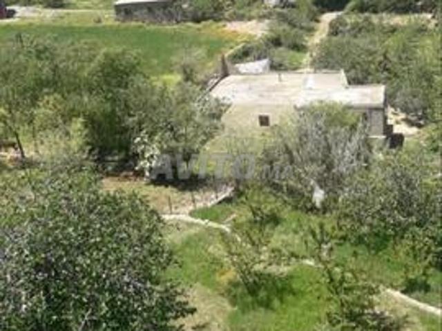 Maison vente à Imouzzer Des Ida Ou Tanane, Oued ed Dahab-Lagouira