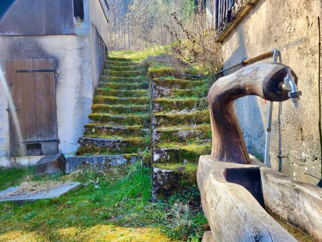 Maison vente à Chez Cachat, Thollon-les-Mémises