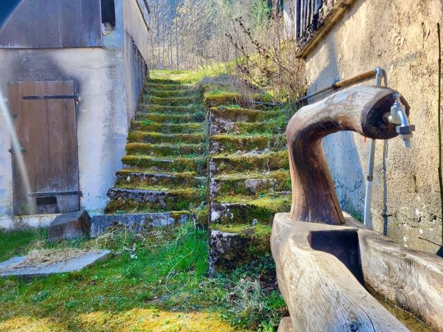Maison vente à Thonon-les-Bains, Thollon-les-mémises