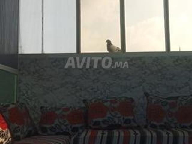 Maison vente à Deroua, Gharb-Chrarda-Beni Hssen