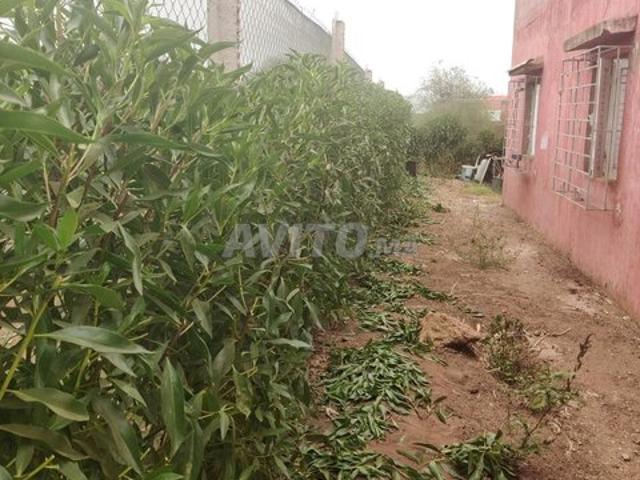 Maison vente à Gharb-Chrarda-Beni Hssen