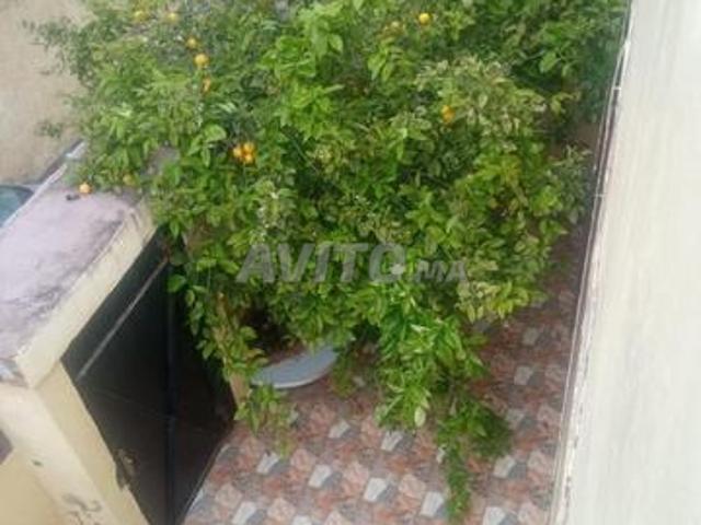 Maison vente à Zmamra, Gharb-Chrarda-Beni Hssen