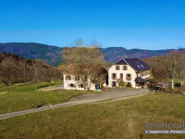 Maison vente à Colmar-Ribeauvillé, Sainte-marie-aux-mines