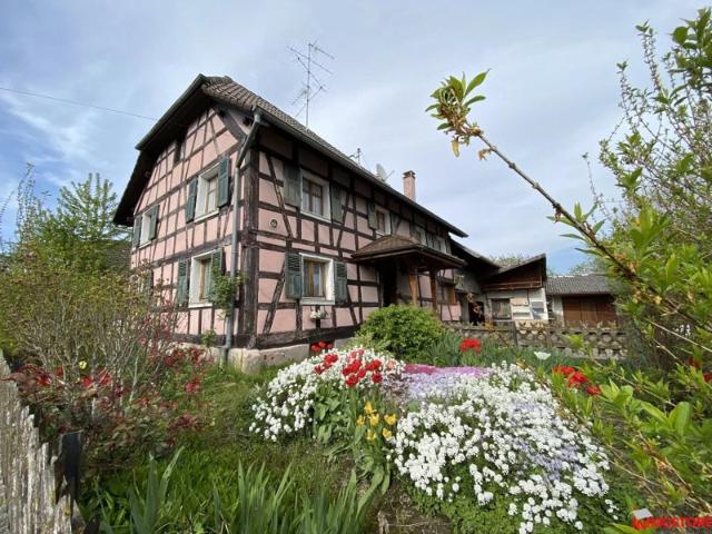 Maison vente à Altkirch, Jettingen