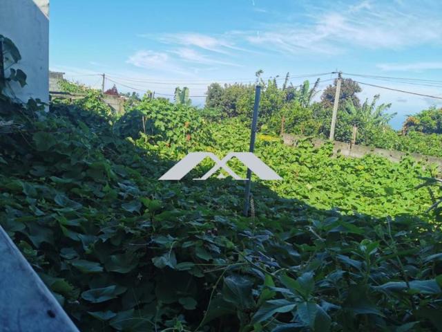 Maison vente à La Réunion