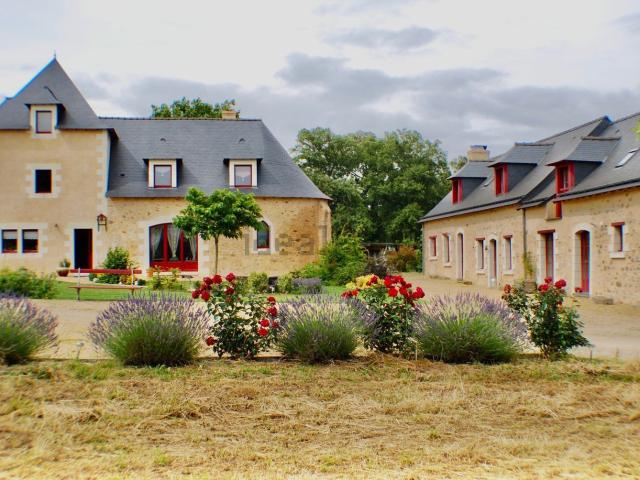 Maison vente à Centre Ville - La Fayette - Eblé, Angers