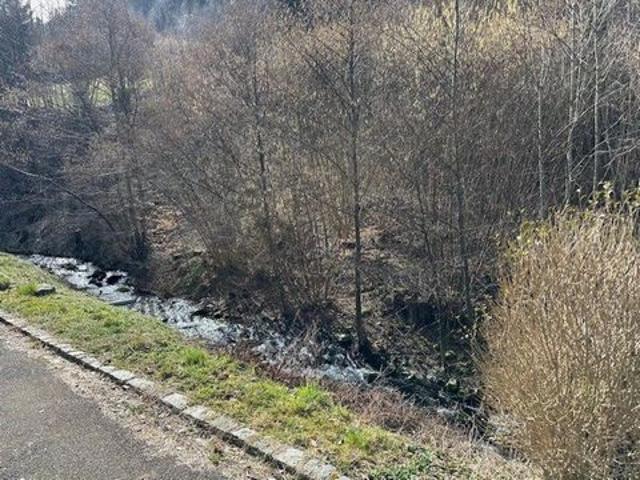 Villa vente à Sondernach, Collectivité européenne d'Alsace