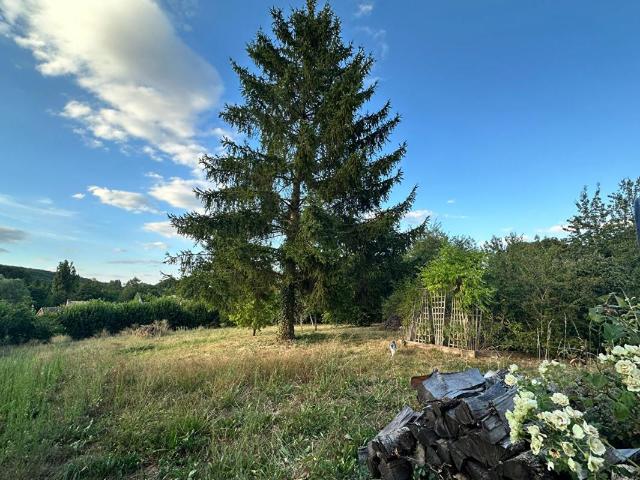 Maison vente à Margon, Arcisses