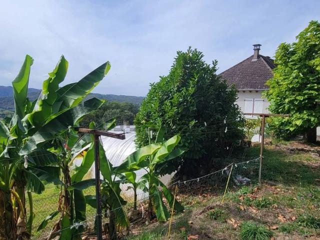 Maison vente à Argentat, Argentat-sur-Dordogne