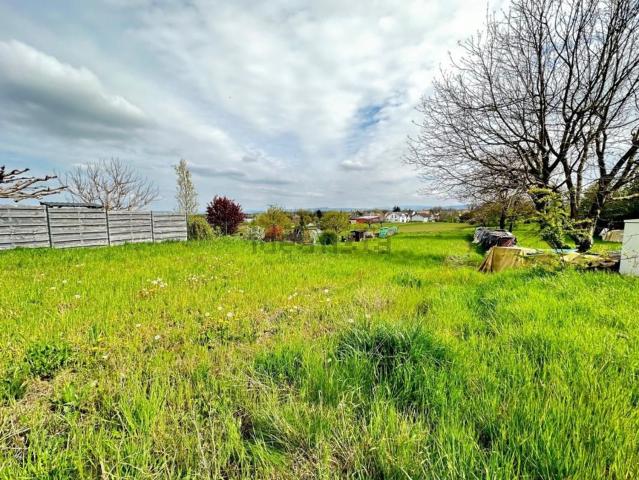 Maison vente à Attenschwiller, Collectivité européenne d'Alsace
