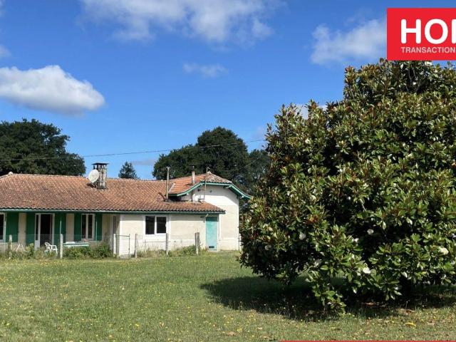 Maison vente à France métropolitaine, Sanguinet