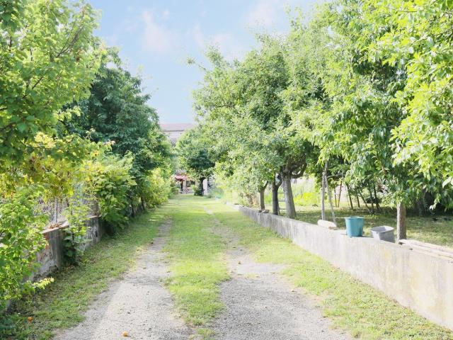 Maison vente à Montauban, Grisolles