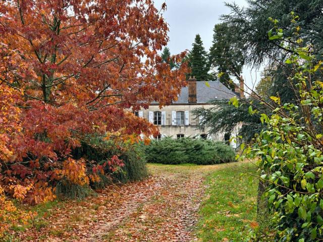 Maison vente à Aubigny-sur-Nère, Cher
