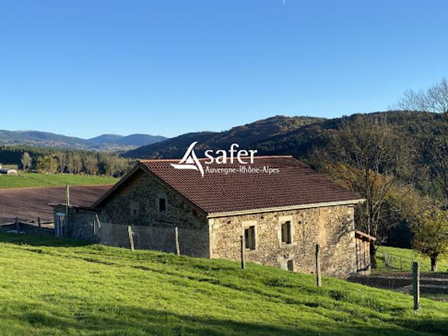 Maison vente à Thiers, Courpière