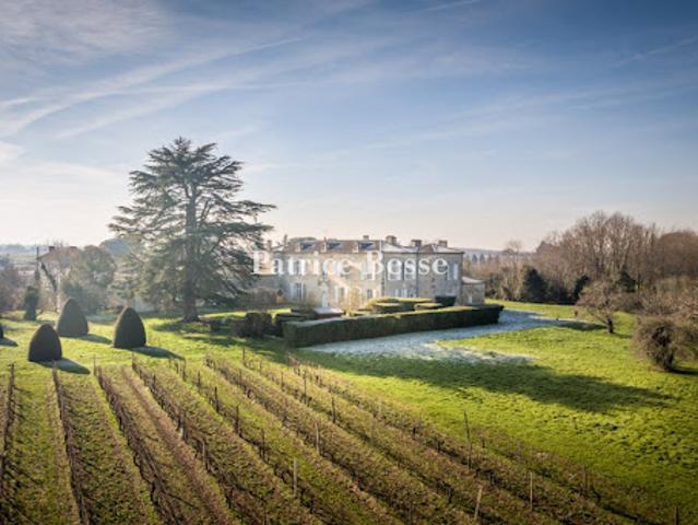 Château vente à Langon