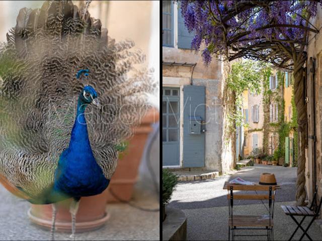 Maison vente à Apt, Goult
