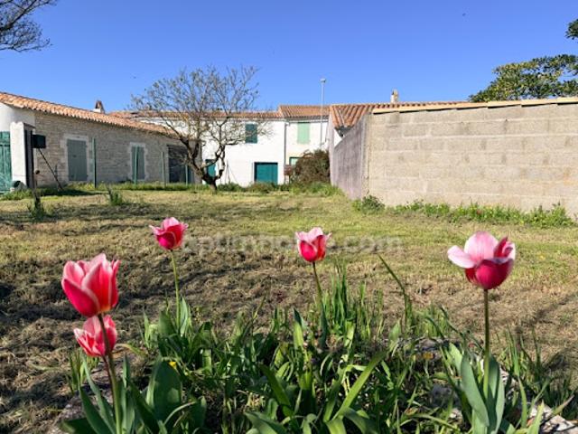 Maison vente à La Rochelle, Le Bois-plage-en-ré