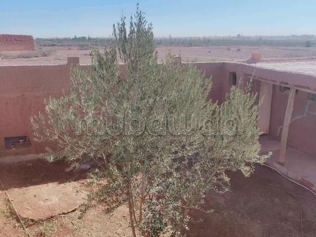 Maison vente à Ouled, Oued ed Dahab-Lagouira