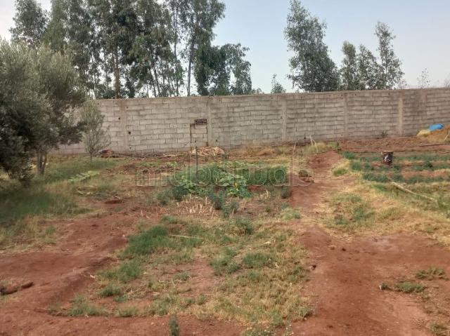 Maison vente à Ouled, Oued ed Dahab-Lagouira