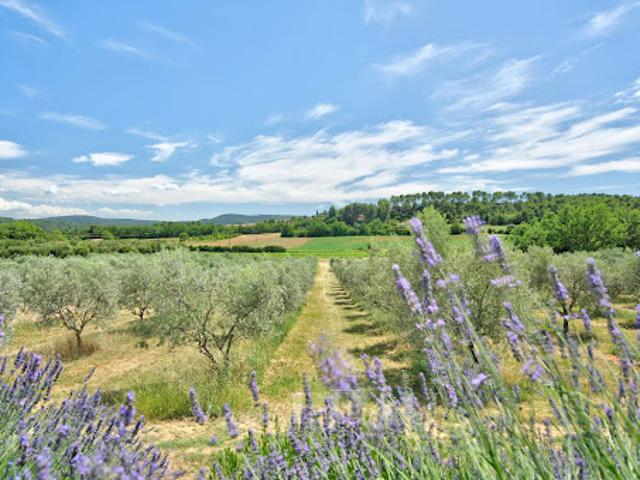 Maison vente à La Bastide-des-Jourdans, Vaucluse