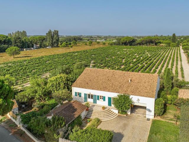 Ferme vente à Nîmes, Saint-laurent-d'aigouze