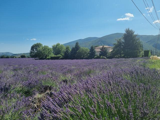 Maison vente à Forcalquier, Sisteron
