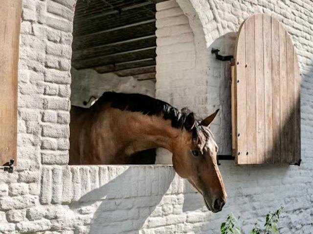 Maison vente à Incourt, Wallonie