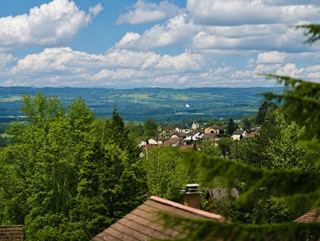 Maison vente à Gex