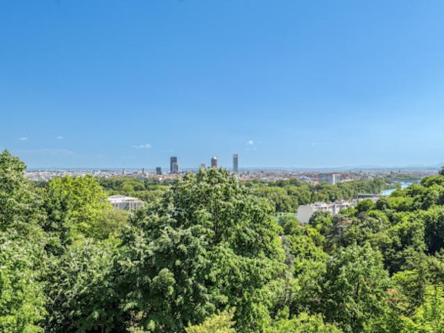 Maison vente à Lyon, Métropole de Lyon