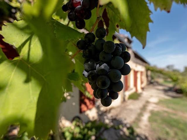 Maison vente à Boursay, Loir-et-Cher