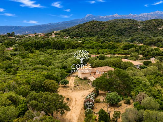Maison vente à Sartène, Figari