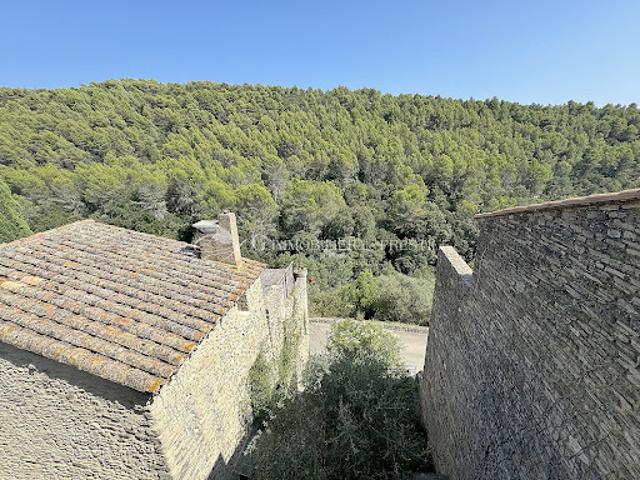 Maison vente à Avignon, Saumane-de-vaucluse