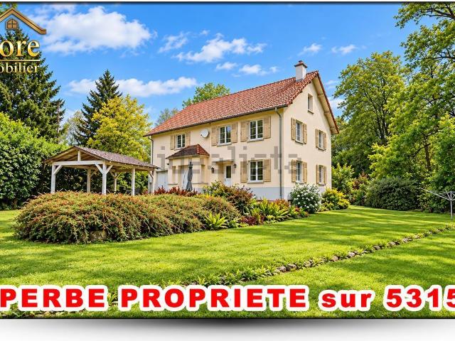 Maison vente à Ban-sur-Meurthe-Clefcy, Vosges