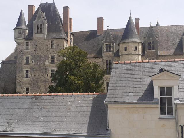 Maison vente à Saumur, Cheviré-le-rouge